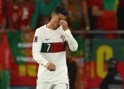 开云平台-瑞典队力克葡萄牙队，张继科统治全场